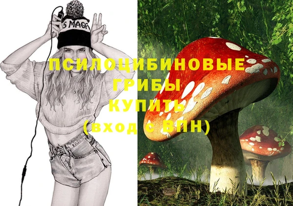 винт Алзамай