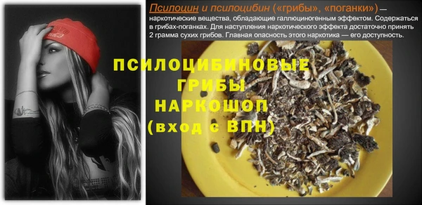 твердый Иннополис