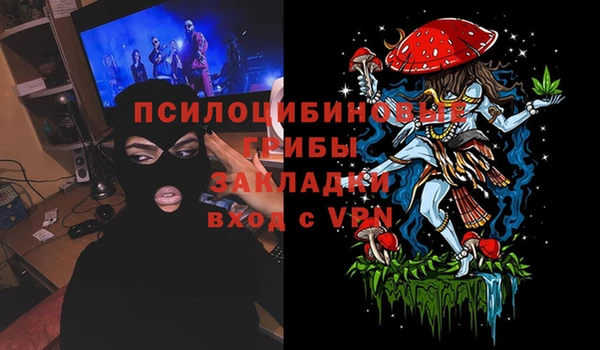 винт Алзамай
