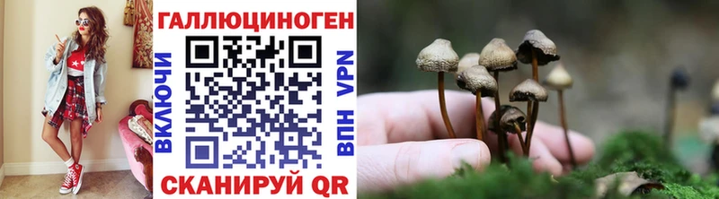 Галлюциногенные грибы GOLDEN TEACHER  Цоци-Юрт 